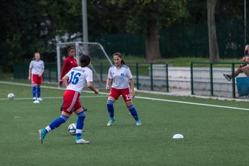 Bild 15 - C-Juniorinnen HSV - Walddoerfer : Ergebnis: 9:1